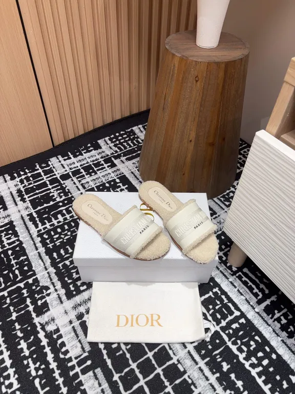 Dior Shoe 